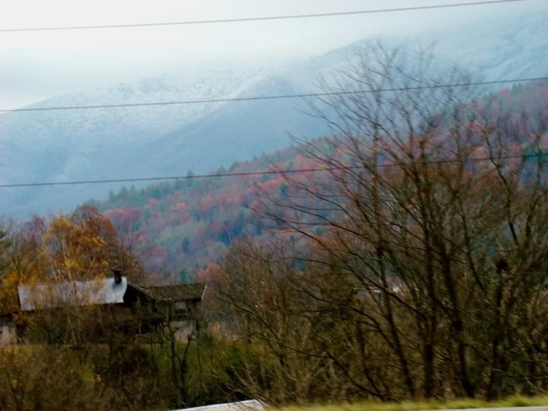 Pictures of the oddest TN weather! (Erwin, Roan Mountain loan, house
